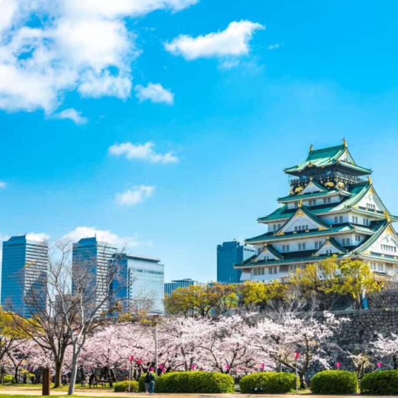 Osaka Day Trip by Private Car Hotel Pickup & English Driver - Who Will Love This Tour?