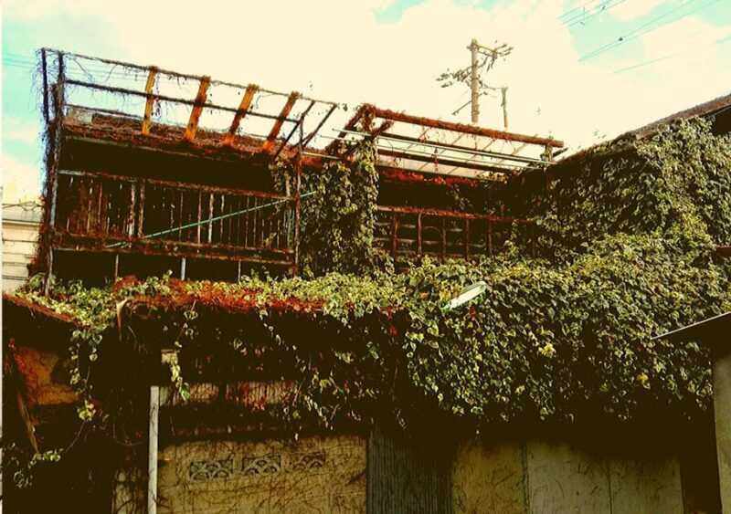 Osaka: Deep Backstreets Walking Tour with Dinner Option - Good To Know