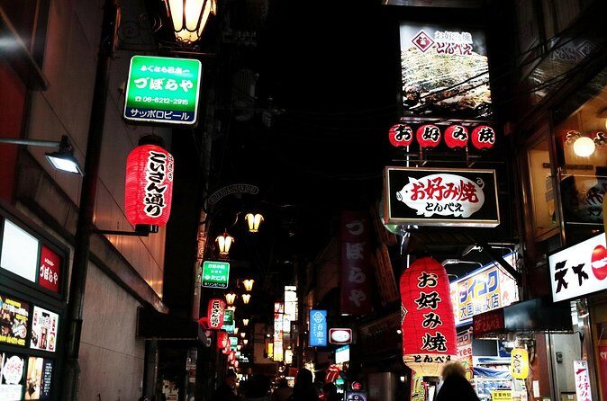 Osaka Deep Night Street Walking Tour - Who Will Love This Tour?