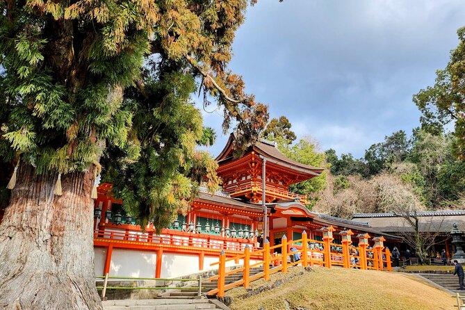 Osaka Department, Nara Small Group Full Day Tour - Tour Highlights