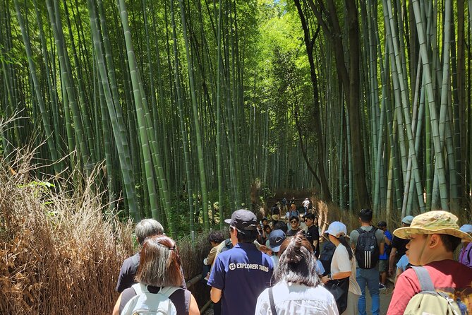 Osaka Department Store, Arashiyama Ninnaji, and Golden Pavilion Full Day Tour - The Sum Up