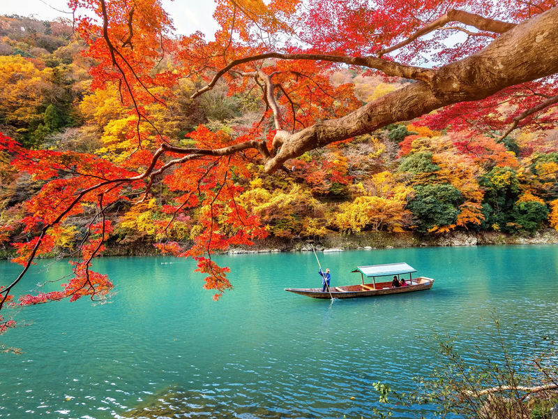 Osaka Departure | Kansai Region Customized Private Car Day Tour (Osaka/Kyoto/Nara/Kobe/Wakayama) - A private car, not a guided sightseeing tour