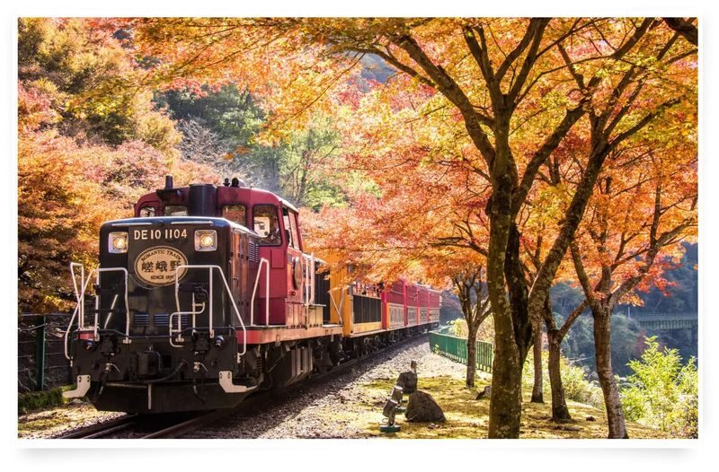 Osaka Departure | Kansai Region Customized Private Car Day Tour (Osaka/Kyoto/Nara/Kobe/Wakayama) - Start with the package that matches your map