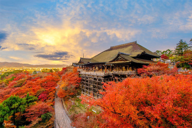 Osaka Departure | Kansai Region Customized Private Car Day Tour (Osaka/Kyoto/Nara/Kobe/Wakayama) - Finish among Shinsaibashi and Dotonbori