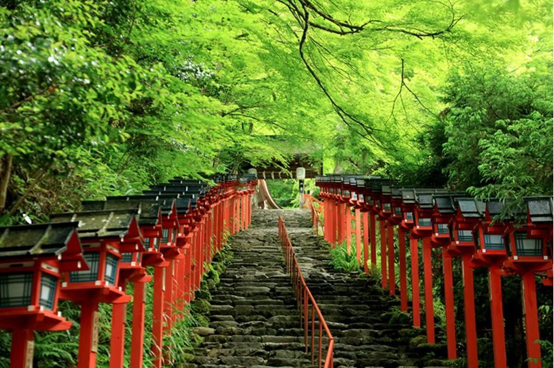 Osaka Departure | Kansai Region Customized Private Car Day Tour (Osaka/Kyoto/Nara/Kobe/Wakayama) - Comfortable rides depend on choosing the right vehicle