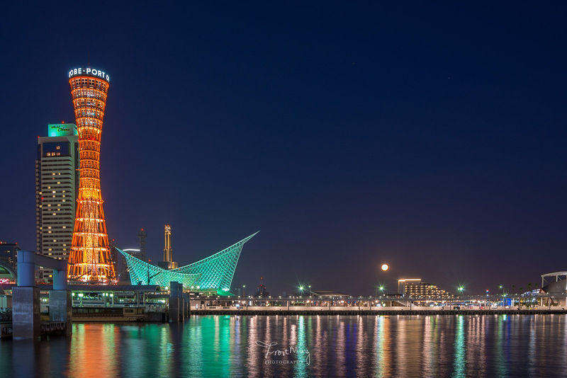 Osaka Departure | Kansai Region Customized Private Car Day Tour (Osaka/Kyoto/Nara/Kobe/Wakayama) - The real price includes more than the starting fare