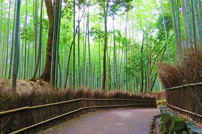 Osaka Departure Kyoto Top 3 Full Day Tour - Historical Landmarks and Cultural Sites