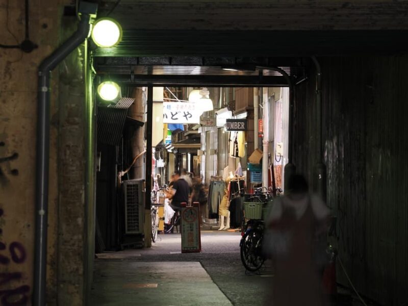 Osaka: Discover Iconic Sights & Hidden Gems Guided Tour - Price & Value Analysis