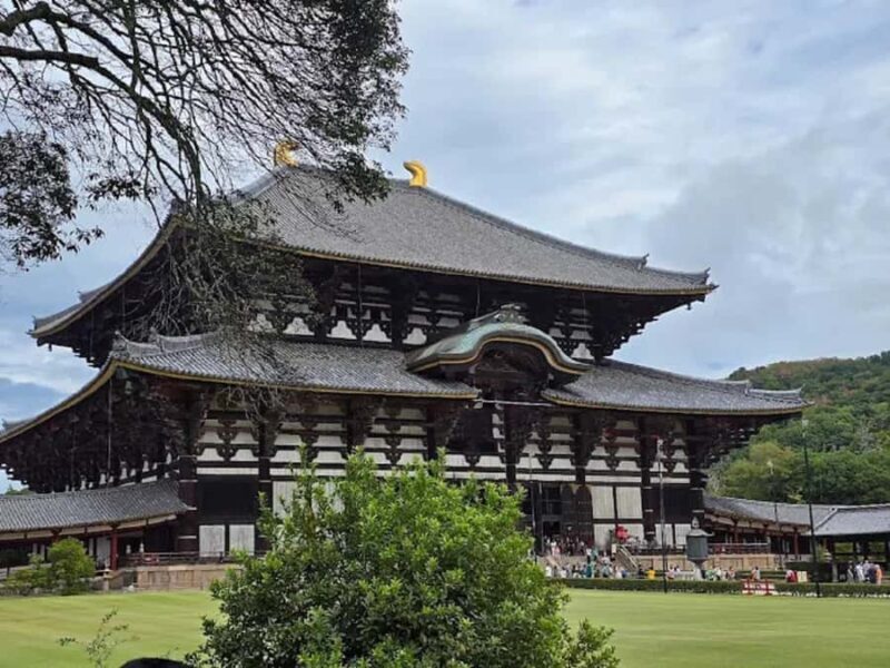 Osaka: Discovering Nara Timeless Grace Guided Tour - Accessibility and Suitability
