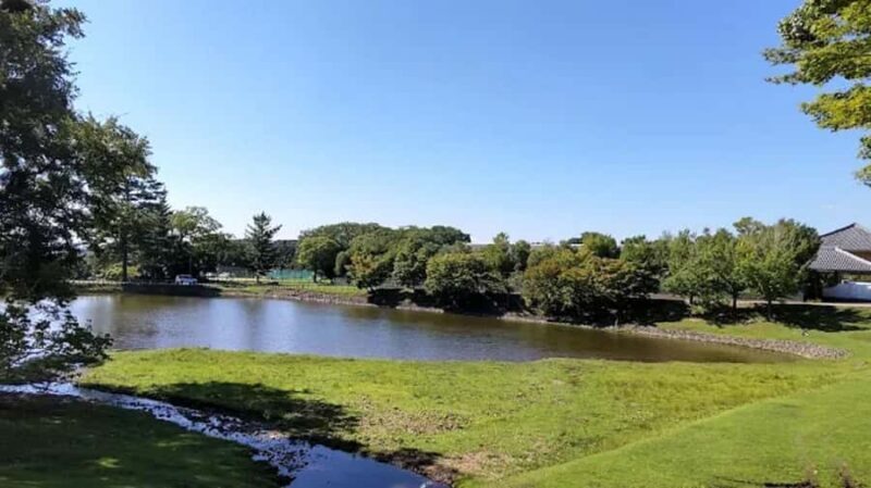 Osaka: Discovering Nara Timeless Grace Guided Tour - Good To Know