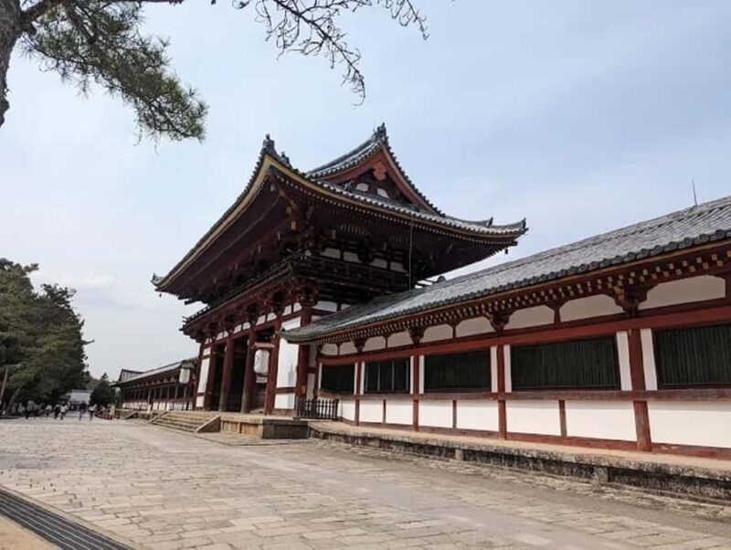 Osaka: Discovering Nara Timeless Grace Guided Tour - Introduction to the Tour Experience