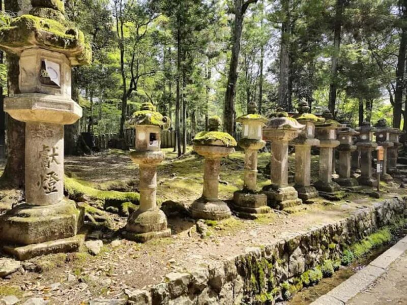 Osaka: Discovering Nara Timeless Grace Guided Tour - Final Thoughts