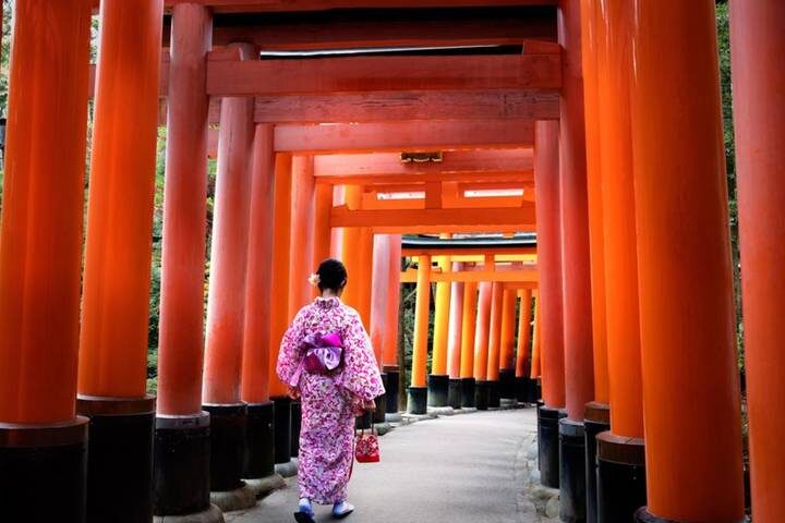 Osaka Discovery 4 Days - Universal Fun & Kyoto Heritage by Vio Travel - Who should choose this four-day mix