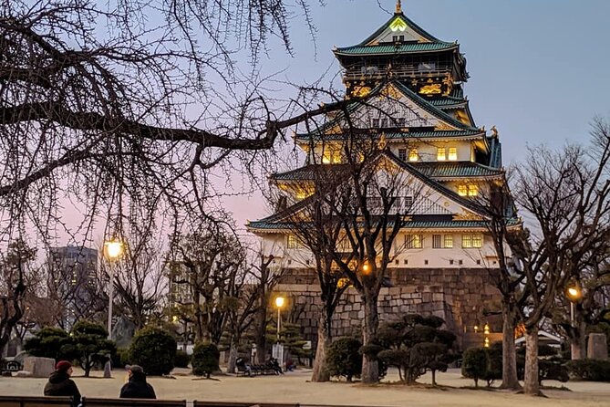 Osaka & Dotonbori Food Tour Tailored to Your Taste - Common Questions