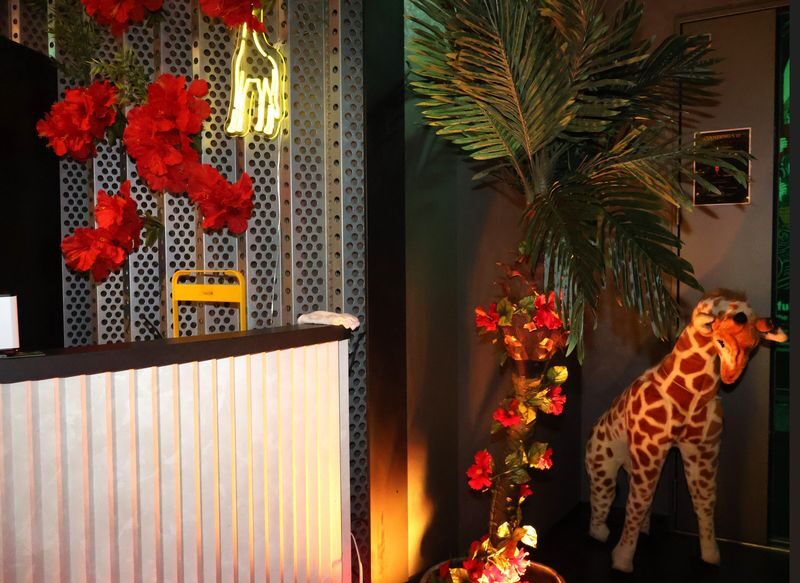 Osaka Dotonbori: GIRAFFE Nightclub Admission Ticket / VIP(For Foreigners only) - Who should book GIRAFFE?