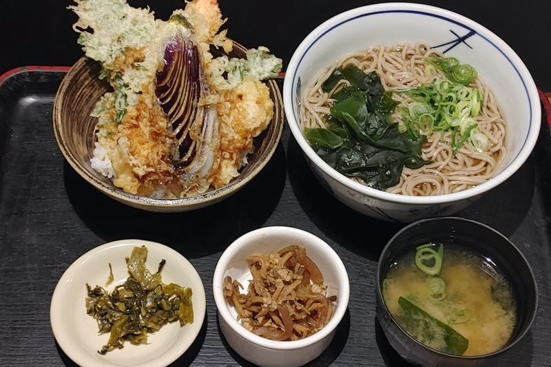 Osaka Dotonbori Half-Day Small Group Food Tour - Should you book the Dotonbori tour?