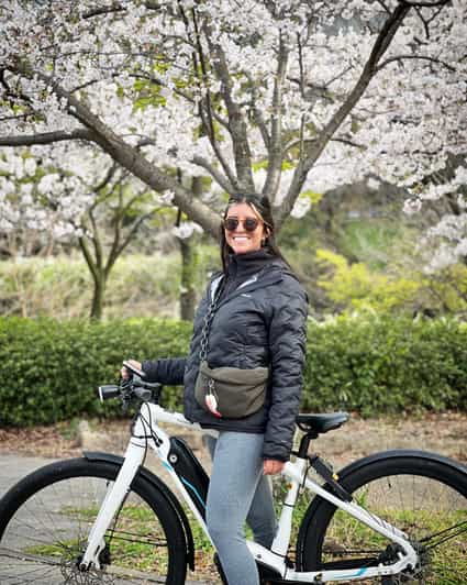 Osaka E-Bike Tour With A Local Guide - Experience Highlights