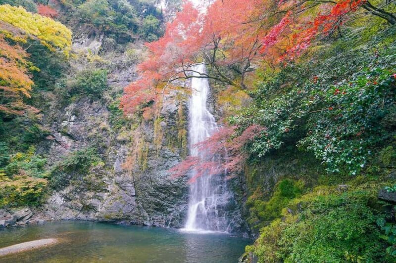 Osaka Early Bird Trail: Katsuo-ji Daruma & Minoh Falls Walk - Authentic Experiences and Hidden Gems