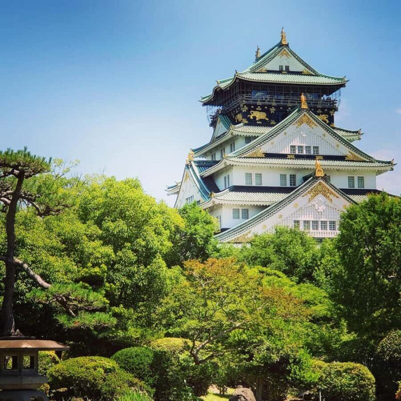 Osaka: Explore Castle, Temple & Shrine Guided Walking Tour - Who Will Appreciate This Tour?