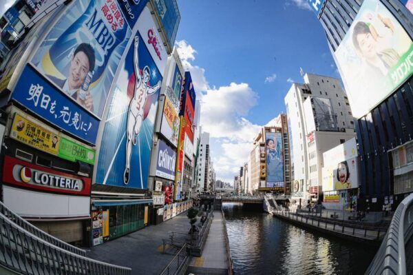 Osaka: Explore in Luxury, Private Guided Tour With a Car - Culinary Delights in Dotonbori