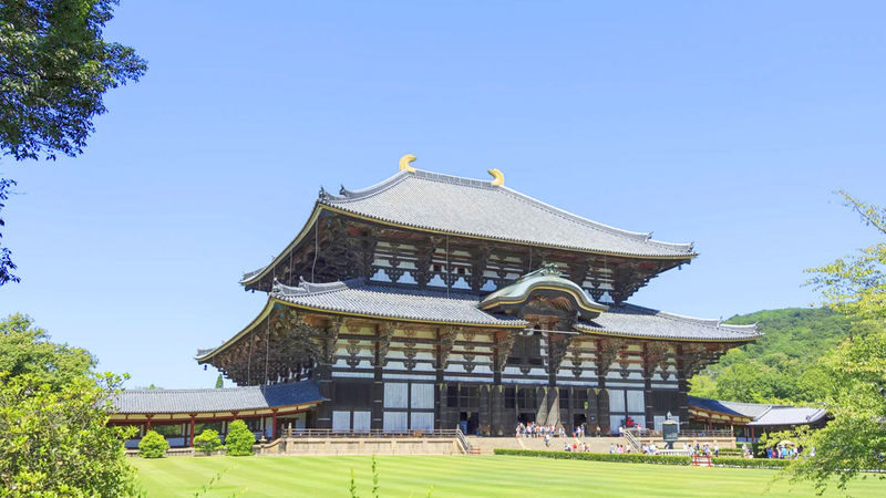 Osaka Full-Day Nara Park, Arima Onsen & Kobe Port Tour - A driver-led day, with a few questions to settle