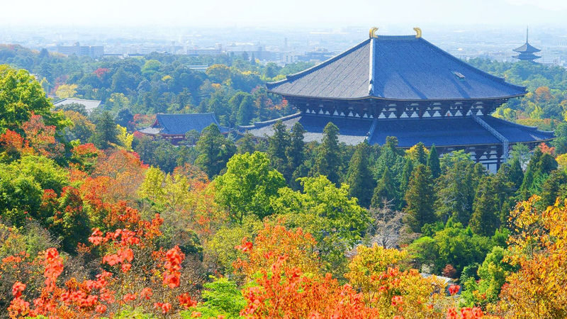 Osaka Full-Day Nara Park, Arima Onsen & Kobe Port Tour - Booking, confirmation and cancellation