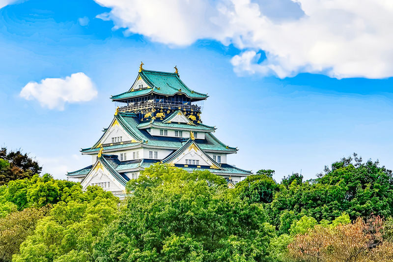 Osaka Full-Day Private Tour with Customizable Itinerary - At a glance