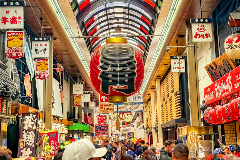 Osaka Full-Day Private Tour with Customizable Itinerary - A day shaped around your own Osaka plans