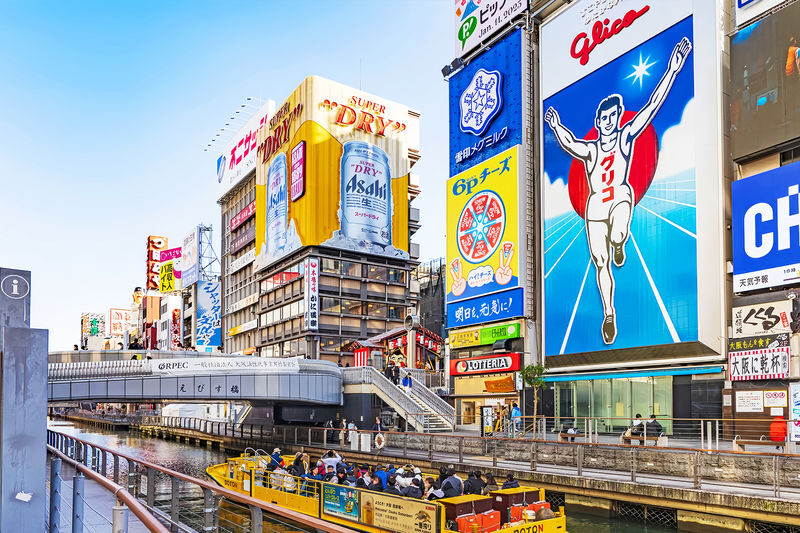 Osaka Full-Day Private Tour with Customizable Itinerary - Is $315.45 good value?