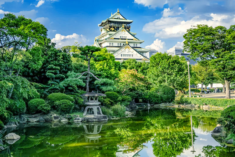 Osaka Full-Day Private Tour with Customizable Itinerary - What to confirm before you book