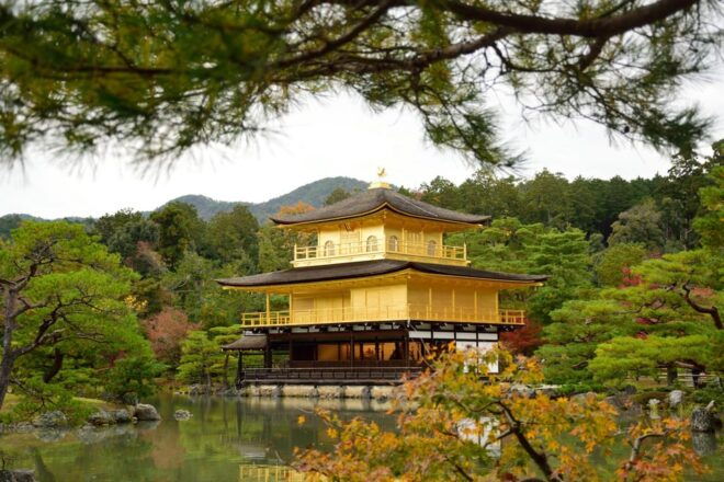 Osaka Full-Day Trip With Daily Chauffeur - Important Information and Restrictions