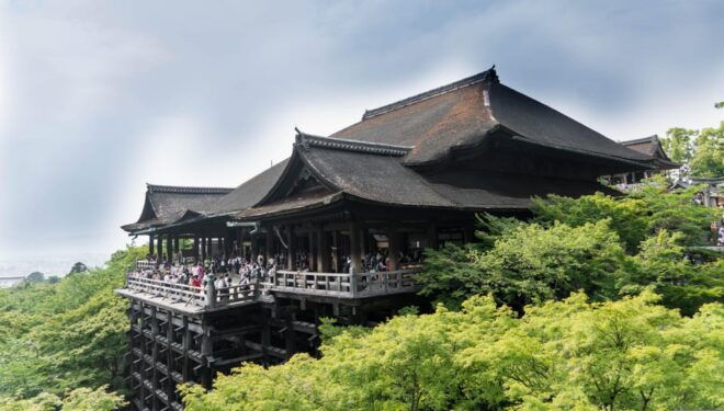 Osaka Full-Day Trip With Daily Chauffeur - Booking Process and Payment Options