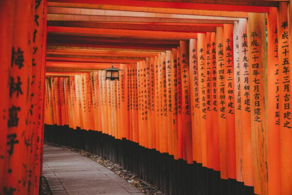 Osaka Full-Day Trip With Daily Chauffeur - Nearby Attractions to Explore