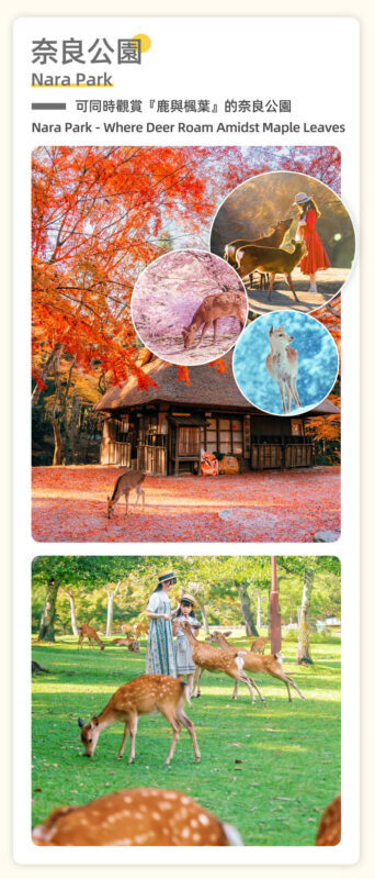 Osaka Fushimi Inari, Nara Park, and Arashiyama Day Trip (including Monkey Park) - Price, timing and the fine print that matters