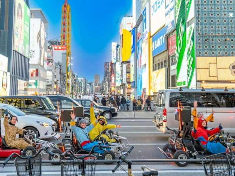 Osaka: Guided Go Karting Tour in a Funny Costume - What To Expect from the Osaka Go Karting Tour