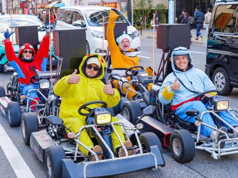 Osaka: Guided Go Karting Tour in a Funny Costume - Who Will Love This Experience?