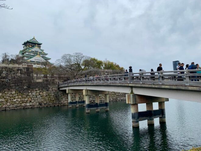 Osaka: Guided Walking Tour With a Native Expert – Top Sights - Experience and Local Insights