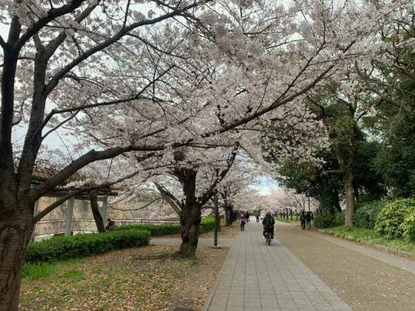 Osaka: Guided Walking Tour With a Native Expert – Top Sights - Frequently Asked Questions