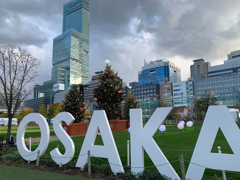Osaka Guided Walking Tour with Native Expert Exploring Top Sights - What the pace and distance mean for you
