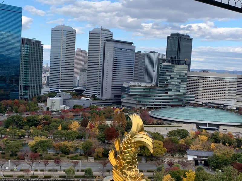 Osaka Guided Walking Tour with Native Expert Exploring Top Sights - Who should book this Osaka walk?