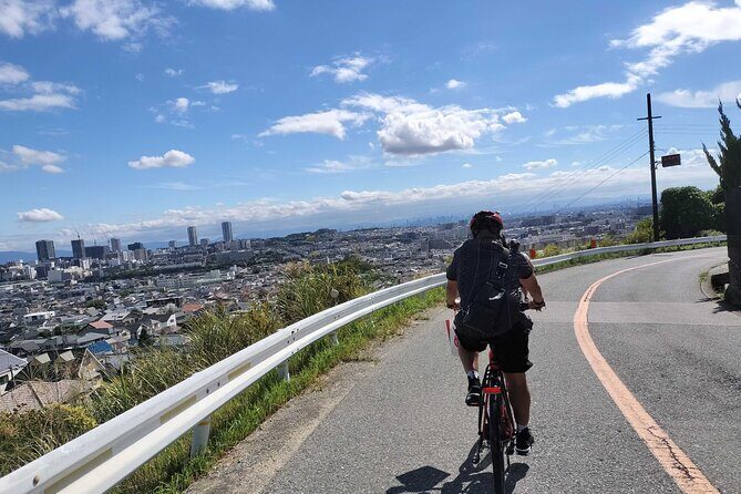Osaka Half-day E-bike Adventure: Minoh Falls & Katsuoji Temple - Good To Know