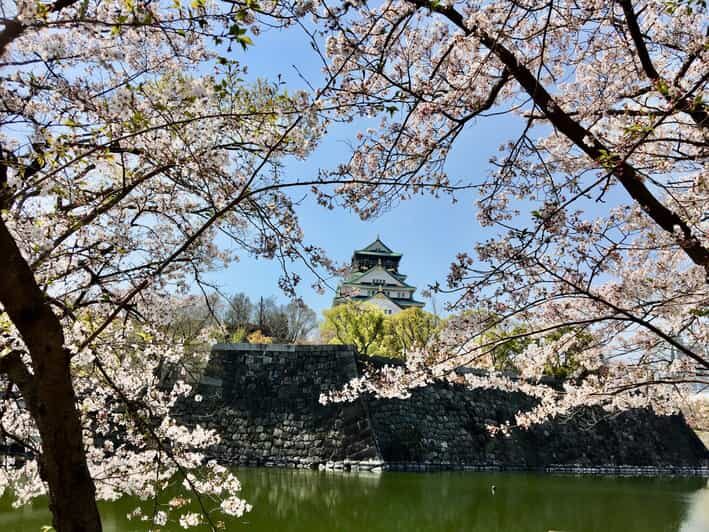 Osaka: Half-Day Private Guided Tour of the Castle - Who Would Love This Tour?