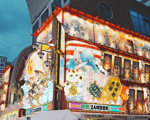 Osaka Half-Day Private Walking Tour with Local Expert - Is $88 a fair price?