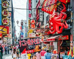 Osaka Half-Day Private Walking Tour with Local Expert - Who is likely to find this useful?