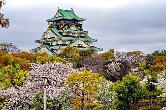Osaka Half Day Walking Tour with an Expert Local Guide - Who Will Love This Tour?