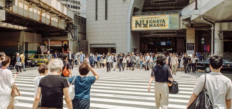 Osaka Hidden Gems 4-Hour Private Walking Tour - Landmarks with the story attached