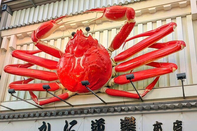 Osaka Highlight Tour: 3-Hour Walking Tour of Osaka - Final Thoughts