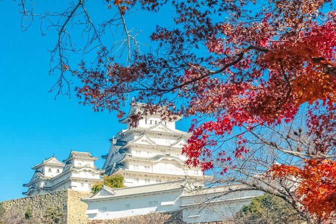 Osaka: Himeji Castle, Arima Onsen & Mt. Rokko Day Trip - Koko-en: Explore the Beautiful Japanese Gardens