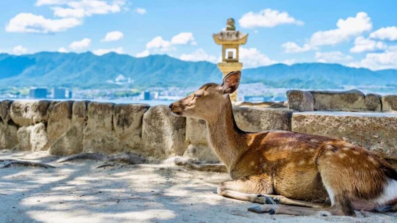 Osaka/Hiroshima Dep: Hiroshima Miyajima LandmarksUNESCO Tour - An In-Depth Look at the Tour Experience