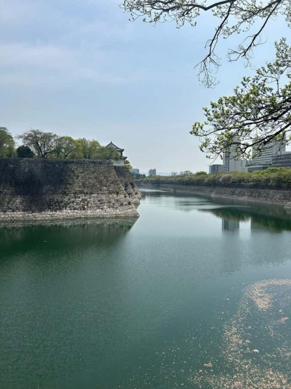 Osaka: History, Architecture & River Vistas Private tour - Exploring Osaka: What to Expect